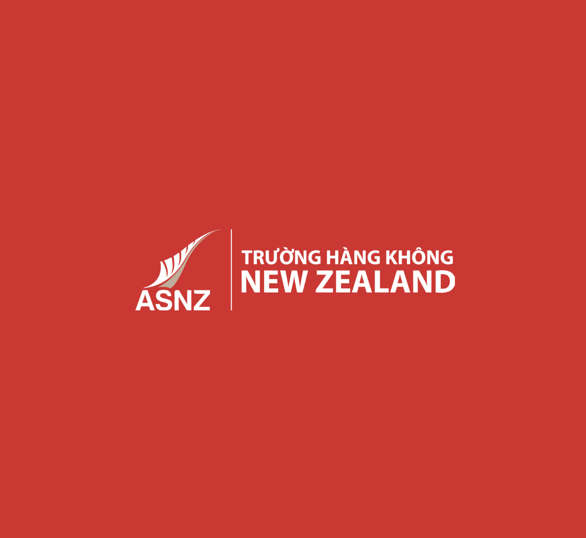 asnz stuff